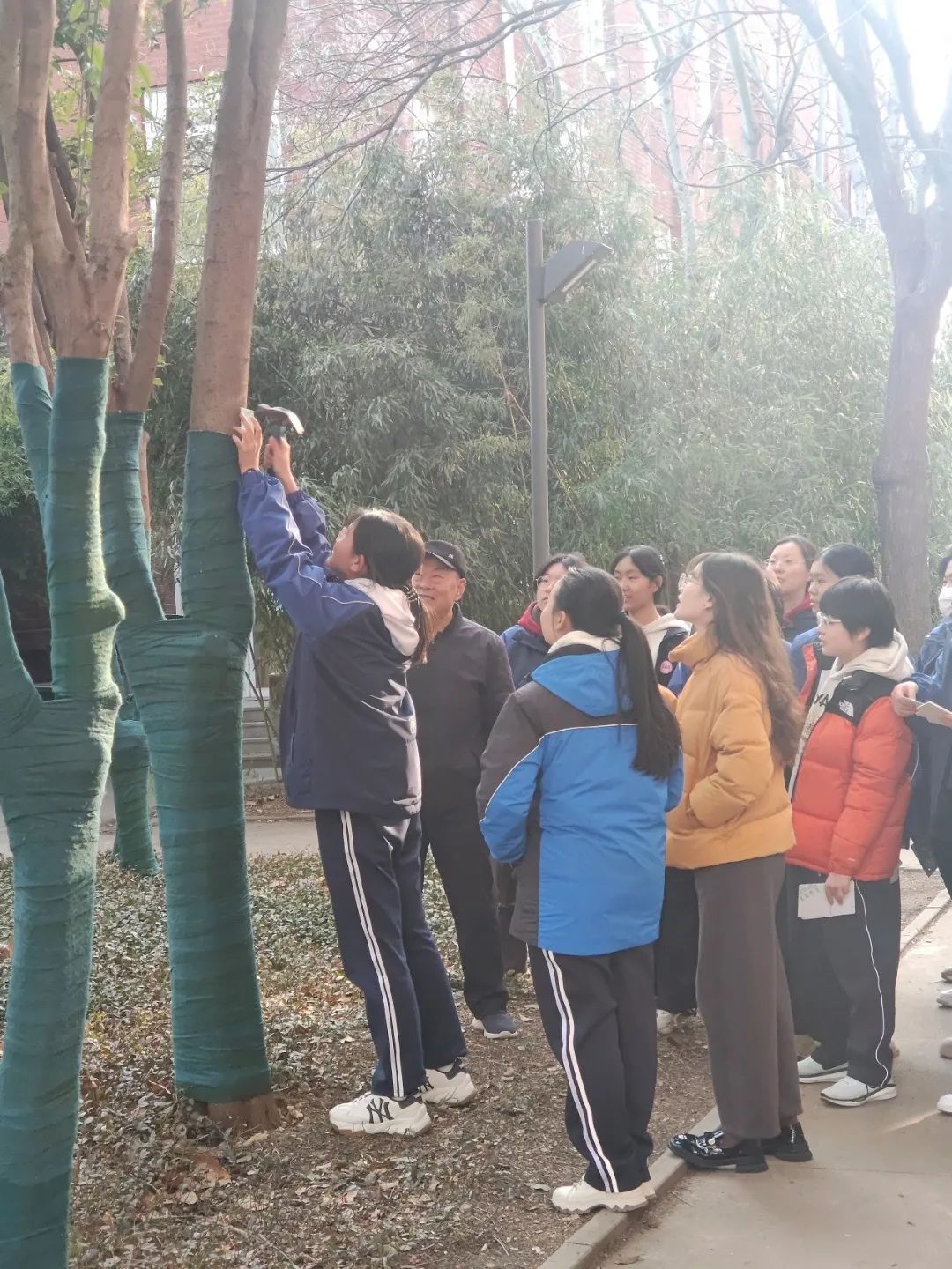 微信图片_20250410151042.jpg