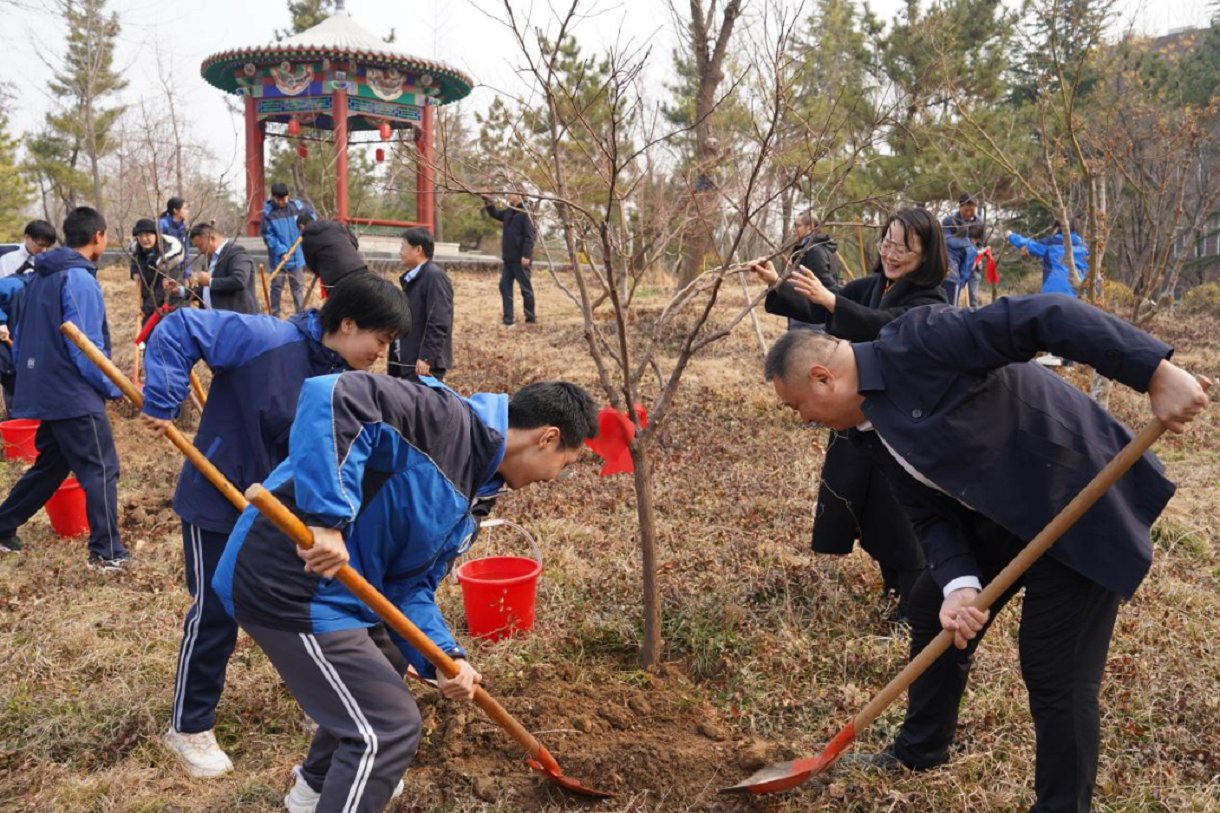 微信图片_2026-03-12_154637_497.png
