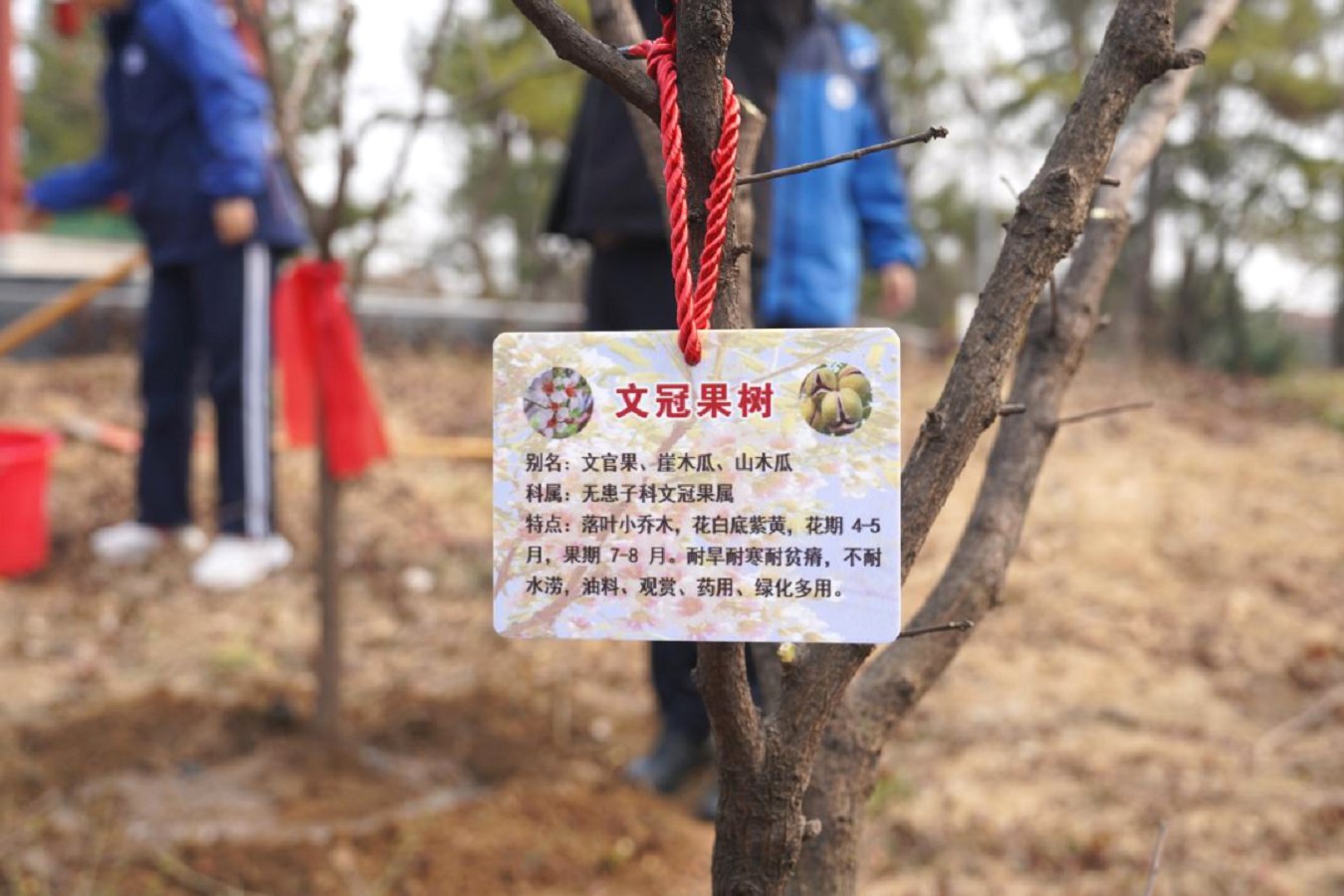 微信图片_2026-03-12_154704_134.png