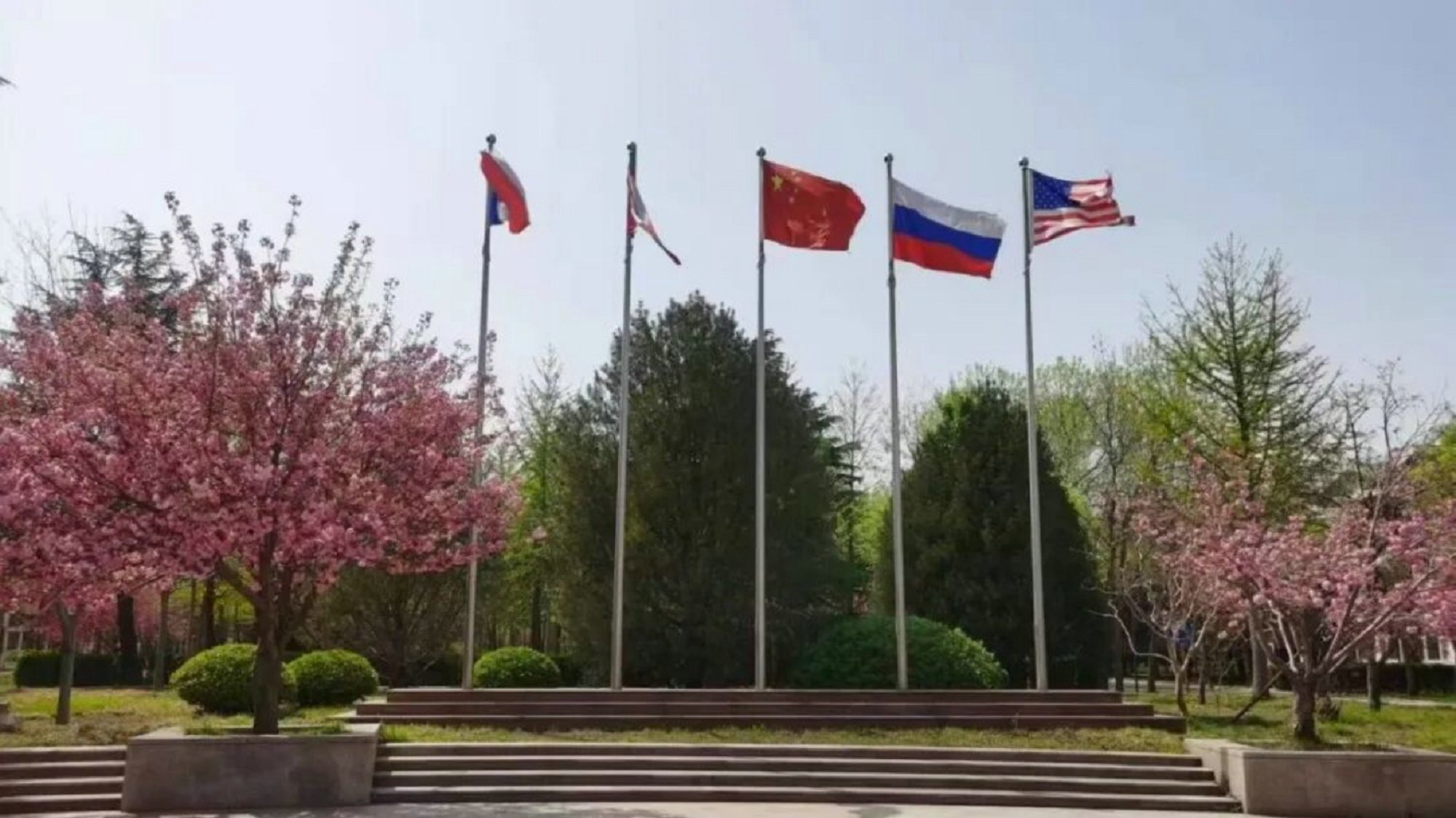 4ed39c4f-3118-494d-944d-005e21437126.jpg